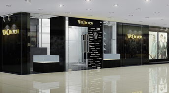 塑造卓越品牌形象 從企業(yè)VI設(shè)計到項目策劃的全面策略